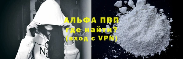 СК Покачи