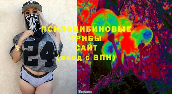 СК Покачи