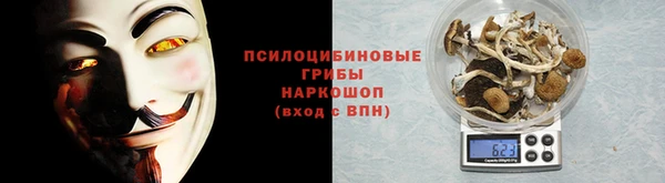 герыч Пересвет