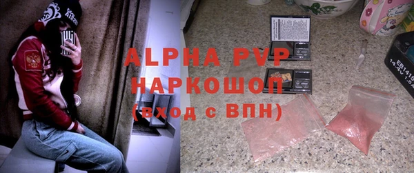 СК Покачи
