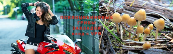 спиды Покров