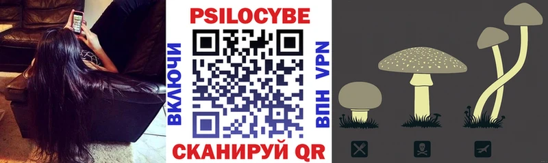 Псилоцибиновые грибы Magic Shrooms  Купить  Узловая 